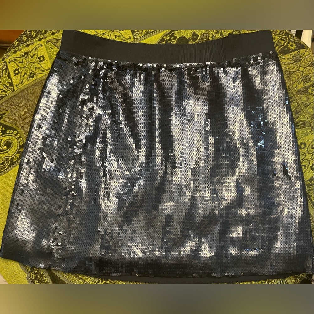 J Crew Collection woman’s skirt Sequin A-Line